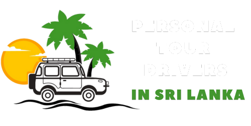 PERSONAL TOUR DRIVERS (2) Gray scale